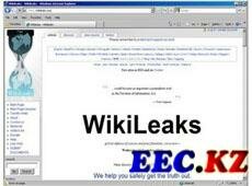  Wikileaks 